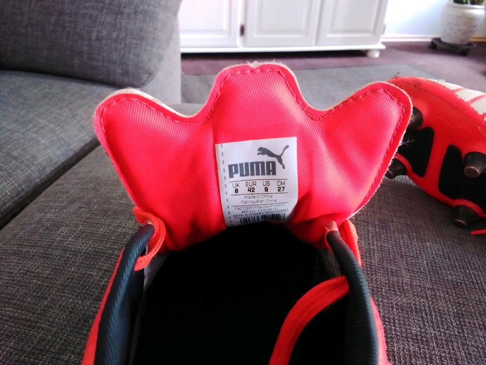 Fussballschuhe Puma in Steinbergkirche