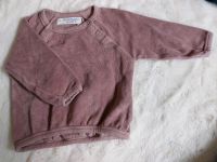 Pullover und t- shirt, sense organic gr.74 Niedersachsen - Göttingen Vorschau