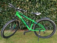 Bulls Pulsar Mountainbike/MTB Hardtrail 26 Zoll Scheibenbremsen Nordrhein-Westfalen - Goch Vorschau