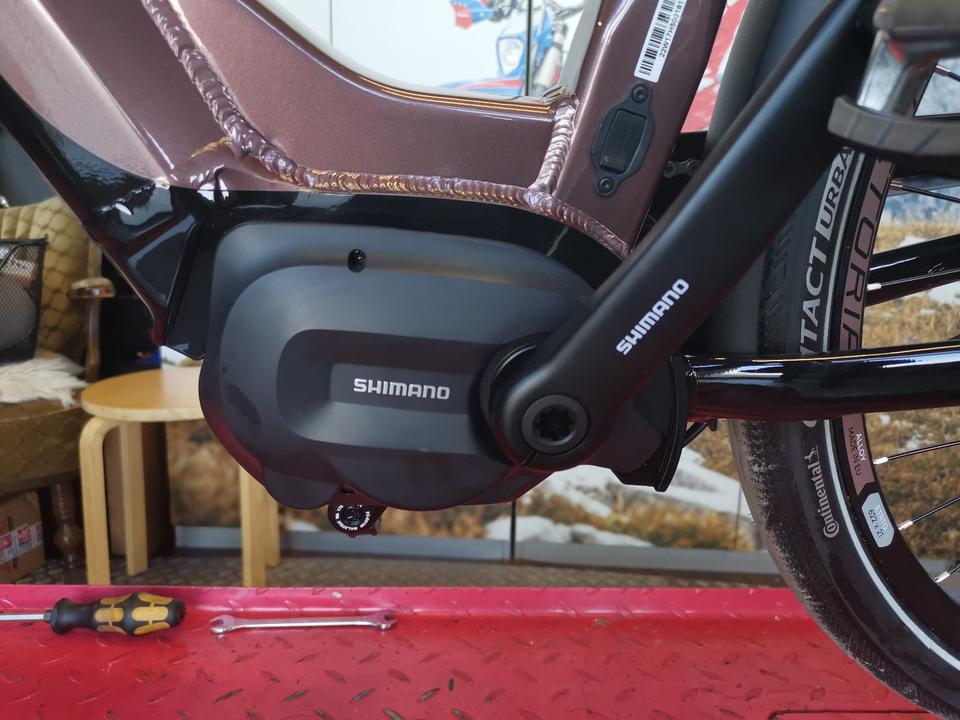 E-Rad Inspektion, E-Bike Inspektion, Bosch, inkl. Software-Update in Esens