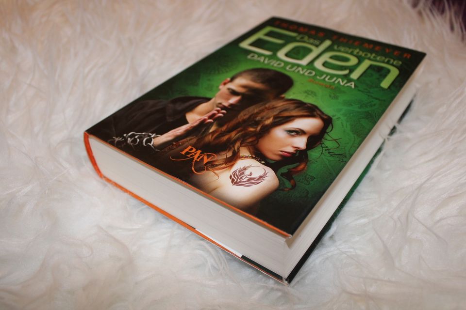 DAS VERBOTENE EDEN - David und Juna von Thomas Thiemeyer Roman in Bad Endbach