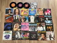 28 Single LP‘s Schallplatten diverse Künstler Queen Freddy Quinn Niedersachsen - Hildesheim Vorschau