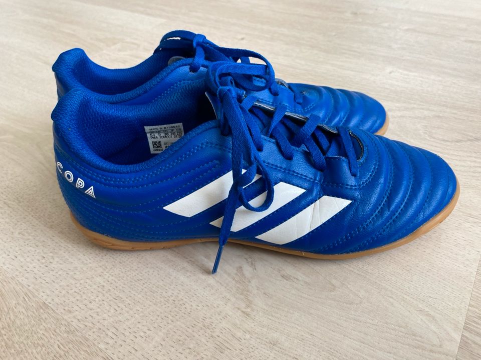 Adidas Fußballschuhe Adidas Hallenschuhe Adidas copa Größe 38 in Bad Hersfeld