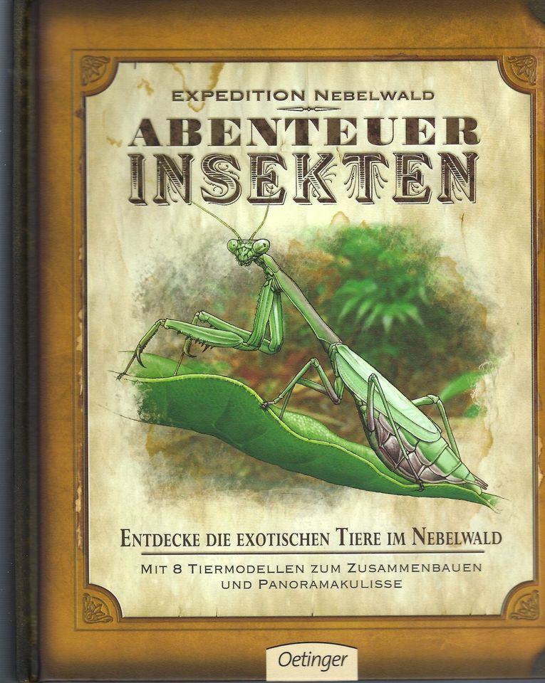 Kinderbuch Insekten neu 6 bis 8 Jahre Modelle zum Basteln in Lichtenberg/Erzgebirge
