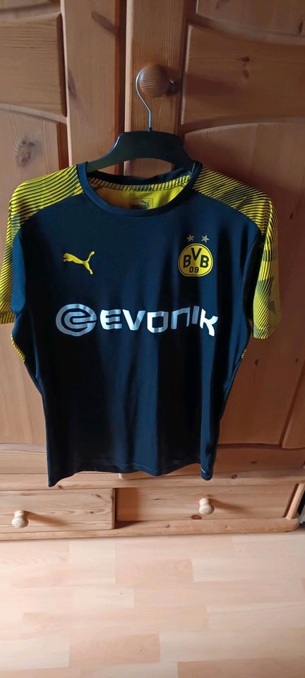 BvB Trainings trikot in Langen (Hessen)