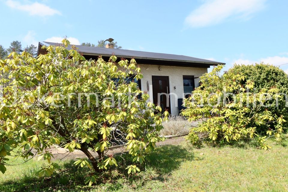 Ankommen, abschalten - und das Leben genießen! Bungalow in der Nähe des Lübbesees. in Templin