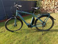 Cube Town Sport Hybrid Pro 500, E-Bike Herren Nordrhein-Westfalen - Alfter Vorschau