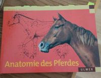 Anatomie des Pferdes, Peter C.Goody, Ulmer Verlag Bergedorf - Hamburg Allermöhe  Vorschau