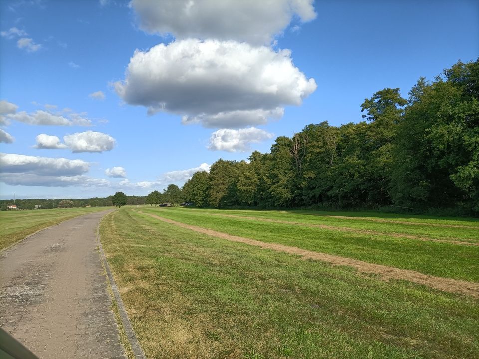 Hunde Auslaufservice - Qualifiziert & Zertifiziert in Galenbeck