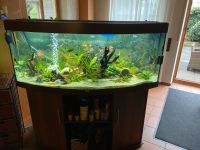 Aquarium 450 Liter Bayern - Viechtach Vorschau