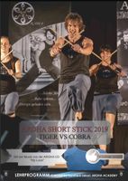 SUCHE DVD Aroha Short Stick 2019 Tiger vs Cobra Sachsen - Meißen Vorschau