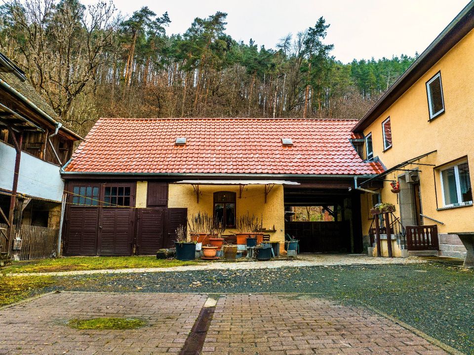 Traumhaus zur Selbstverwirklichung mit Teichen und Wald in Saale-Holzland-Kreis