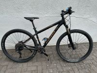 Mountainbike UNIVEGA Summit LtD 29 Zoll Nordrhein-Westfalen - Witten Vorschau