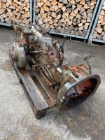 Traktor/ Massey Ferguson 825 Baden-Württemberg - Merdingen Vorschau