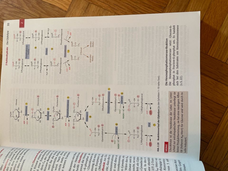 Thieme Kurzlehrbuch Biochemie in Erlangen