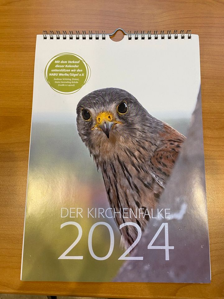 Kalender 2024, Greifvogel, Turmfalke, DIN A4 in Werlte 