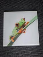 Froschbilder Nordrhein-Westfalen - Emsdetten Vorschau