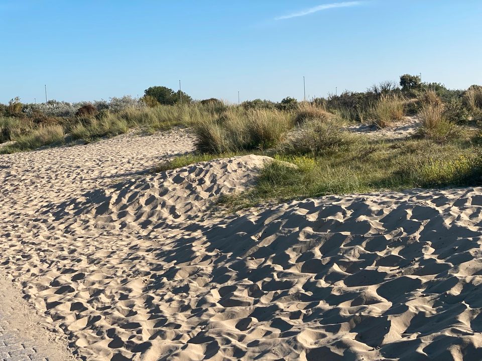 Ferienhaus;Belgien;Bredene;de Haan;Nordsee;belgische Küste in Beckingen