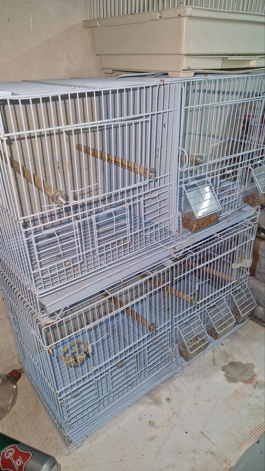 Vogel Käfig in Singen