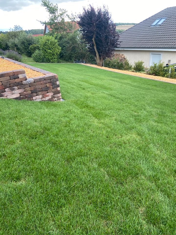 Landschaftsbau Zaunbau Gartenpflege Wurzelfräsen in Königslutter am Elm