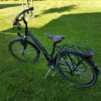 Fahrrad Alu Rex Shimano 8 gang 26 Zoll Nordrhein-Westfalen - Versmold Vorschau