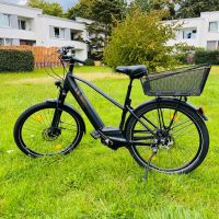 Damen E-Bike - Kreidler Vitality Eco 10 - Elektrofahrrad Wandsbek - Hamburg Rahlstedt Vorschau