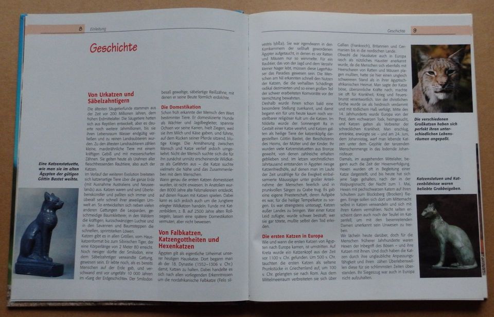"Das große illustrierte Buch der Katzen", Ratgeber für Anfänger in Dresden