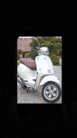 Eine Vespa Primavera 50ccm Baden-Württemberg - Waldshut-Tiengen Vorschau