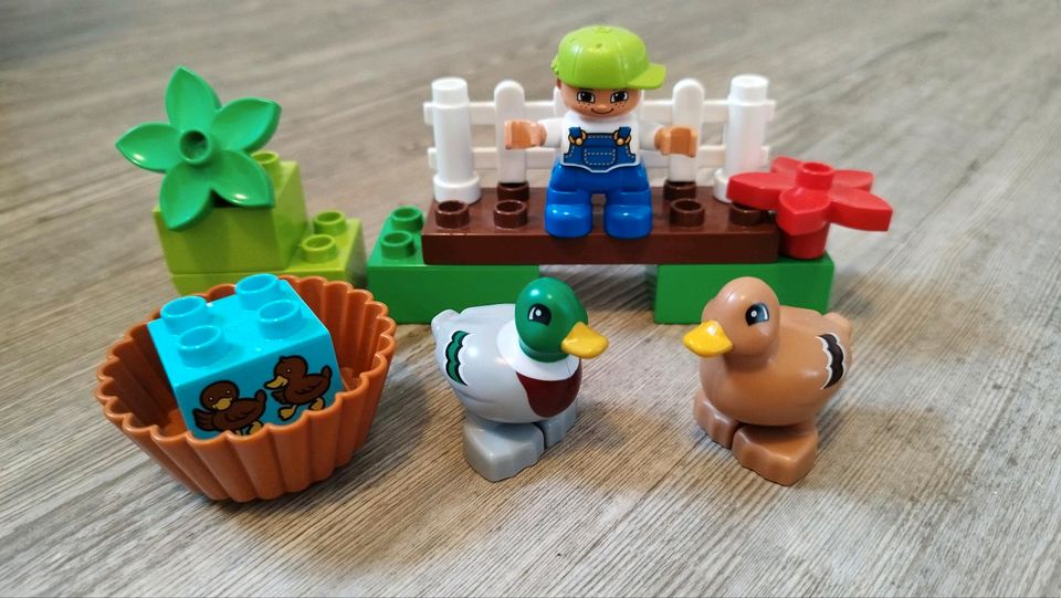 Lego Duplo Mega Set XXL Zoo Tiere Fahrzeuge Feuerwehr Flugzeug in Aalen