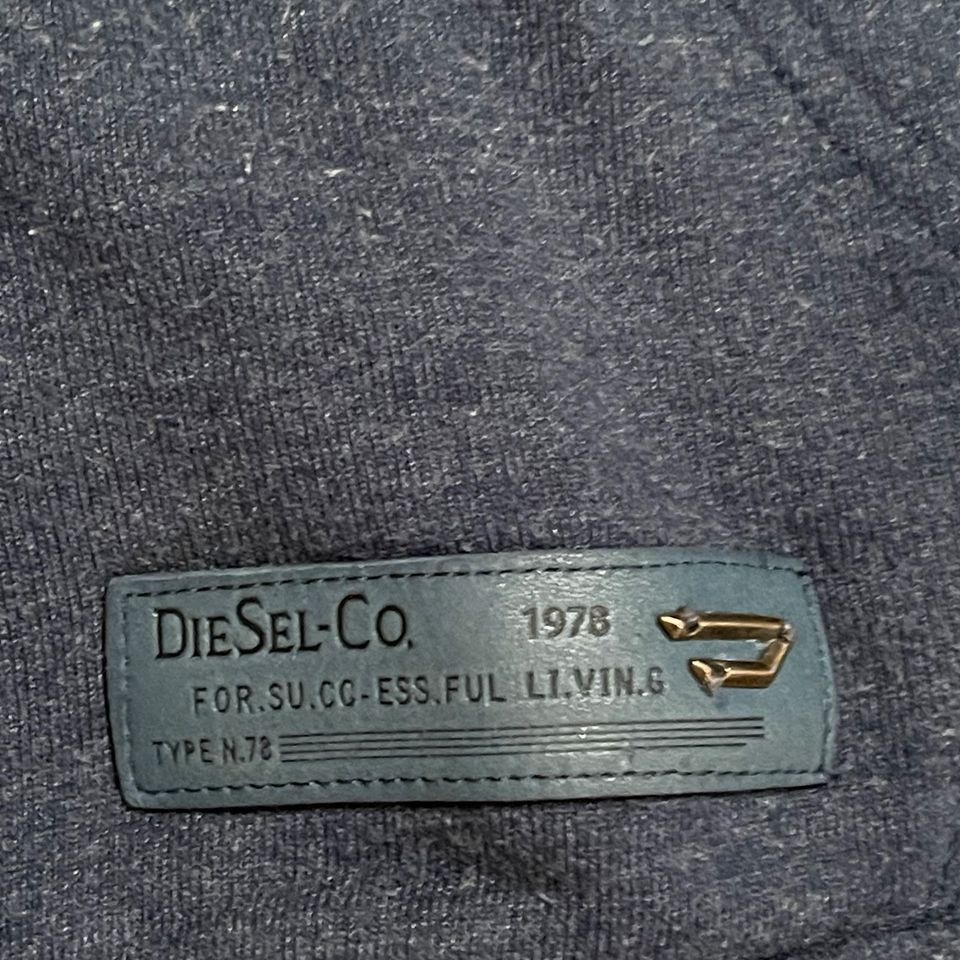 Kapuzenpulli Hoodie Diesel Gr.L blau-grau in Stuttgart