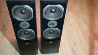 Hifi Stereo Stand Lautsprecher Boxen ASW Sonus DC 120 schwarz Nordrhein-Westfalen - Delbrück Vorschau