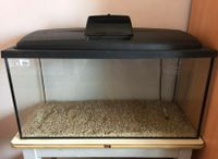 Glasaquarium 112 Liter 80x35x40 cm (BxTxH) 6 mm Bayern - Euerdorf Vorschau