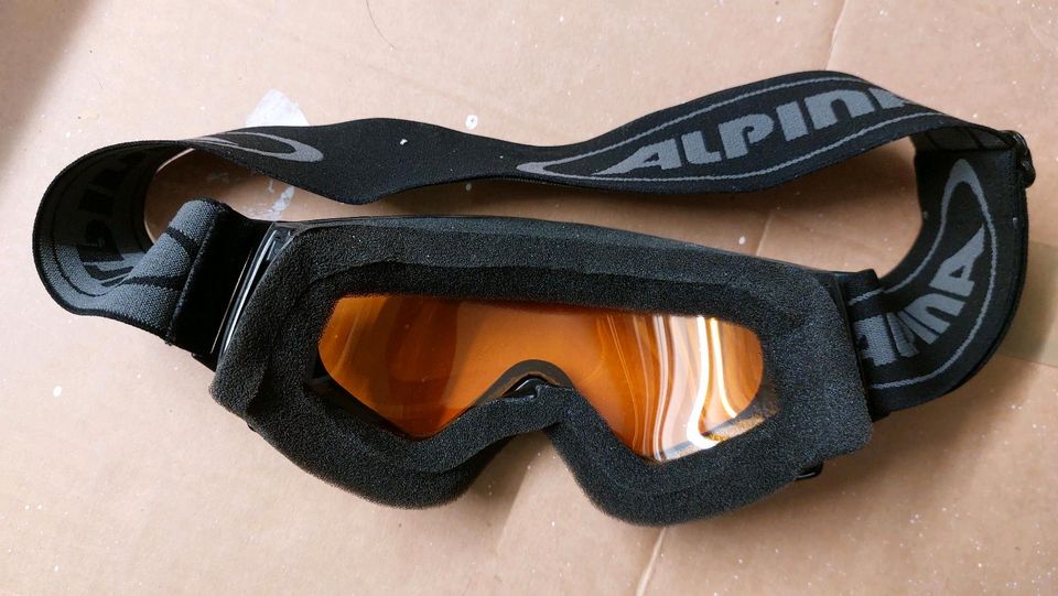 Alpina Doubleflex Skibrille Snowboard Brille in Weißenhorn