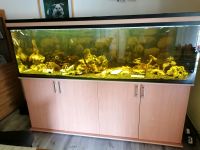 Aquarium 720 l komplett mit Schrank Nordrhein-Westfalen - Kerpen Vorschau