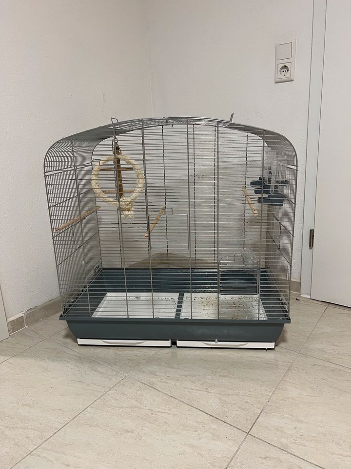 Vogel Käfig in Lage