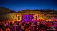 Ticket  - Festival Musik & Wein im Ahrtal 2024 - 02.06.2024 Rheinland-Pfalz - Bad Breisig  Vorschau