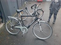 Fahrrad Pegasus 28 Zoll Nordrhein-Westfalen - Bottrop Vorschau