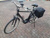 E Bike, Pedelec, Trekking Rad, Top Zustand, wie neu Mecklenburg-Vorpommern - Pasewalk Vorschau