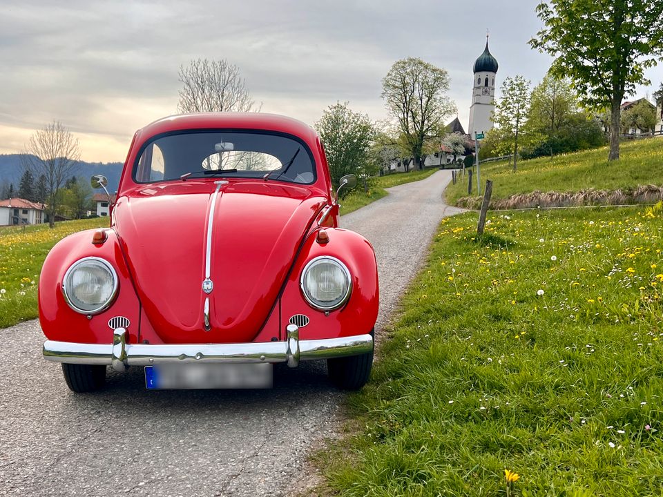 Volkswagen Käfer Export Ovali 1957, Winker, mit Papp Brief in Bad Tölz