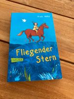 Buch Fliegender Stern Ursula Wölfel Nordrhein-Westfalen - Bad Salzuflen Vorschau