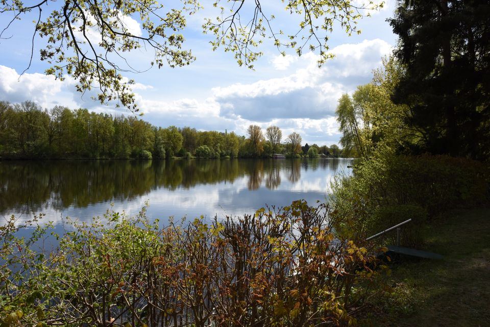 Ferienhaus Lanzer See, Angelboot, Seeblick, Sauna, PKW-Wallbox in Basedow