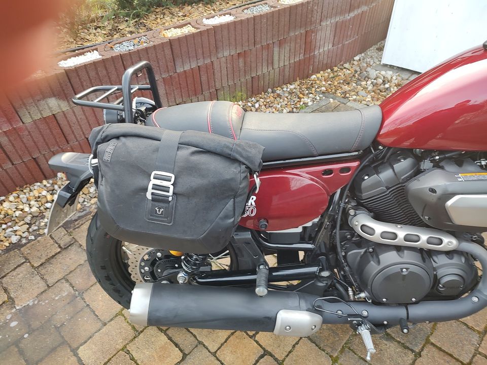 Yamaha SCR 950 in Grünheide (Mark)