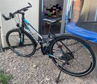 28“ Mountainbike Morrison X 3.0 Cross Series Thüringen - Kranichborn Vorschau