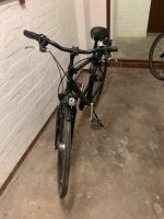 Pegasus Fahrrad zu verkaufen Wandsbek - Hamburg Jenfeld Vorschau