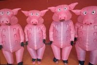 Schweine, Aufblasbares Kostüm , Gruppenkostüm Niedersachsen - Northeim Vorschau