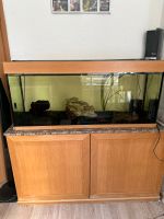 Aquarium 300 Liter mit Unterschrank Niedersachsen - Nordstemmen Vorschau