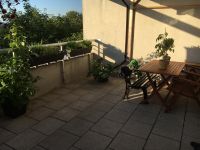 Schöne 1-Zimmer-Wohnung mit 20 qm Dachterrasse Sachsen-Anhalt - Halle Vorschau