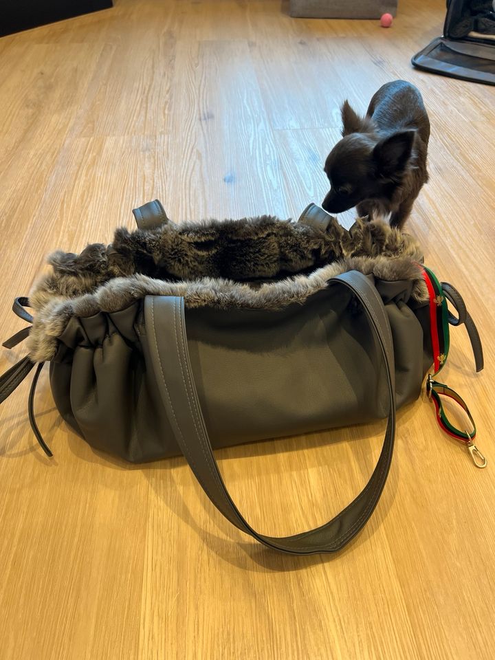 Hunde Tasche / Chihuahua Tasche grau in Mönchengladbach