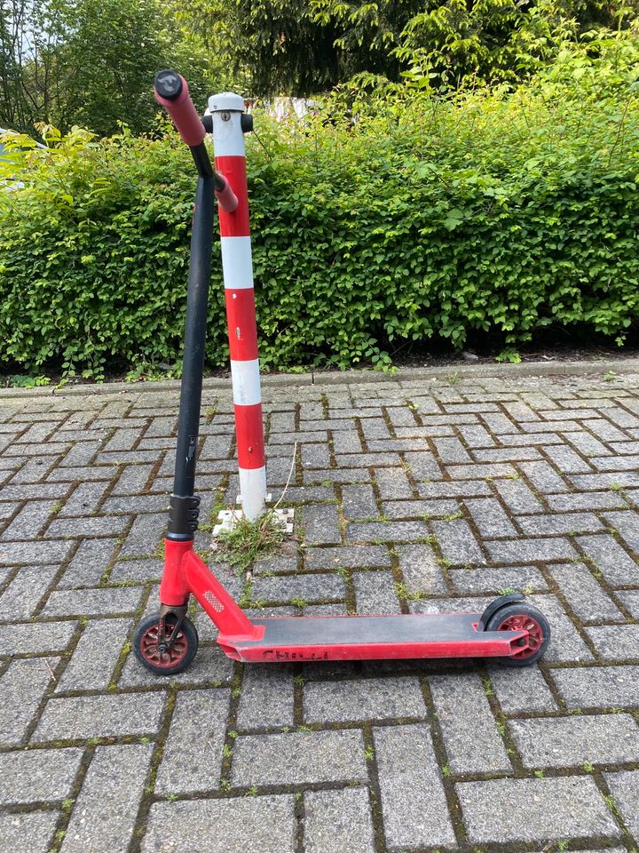 Chilli Pro Scooter in Düsseldorf