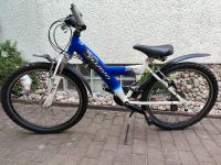 Pegasus Kinder-Fahrrad mit 21 Gängen Hessen - Wöllstadt Vorschau